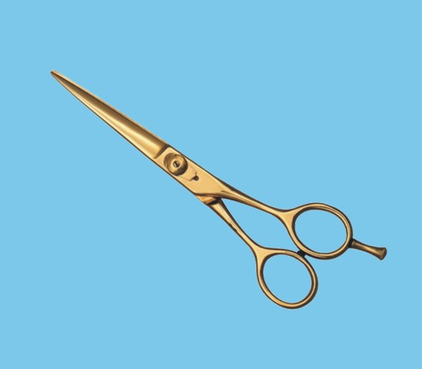 Scissors